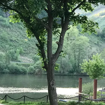 Gaestezimmer Klein Und Fein Fuer Nach Dem Wein 3*