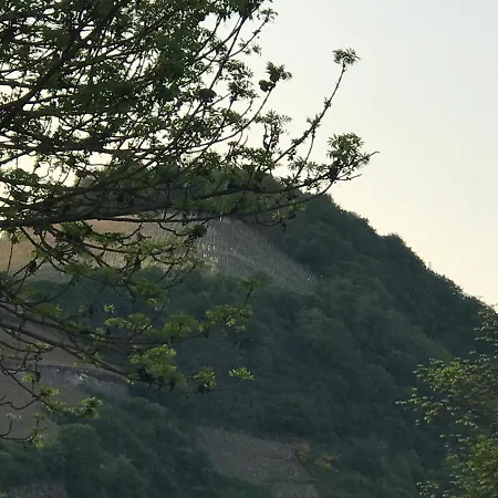 Gaestezimmer Klein Und Fein Fuer Nach Dem Wein فندق مبيت وإفطار 3*