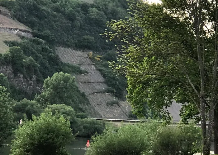 Gaestezimmer Klein Und Fein Fuer Nach Dem Wein فندق مبيت وإفطار 3*