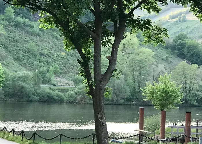 Gaestezimmer Klein Und Fein Fuer Nach Dem Wein 3*